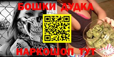 молекула духа Будённовск