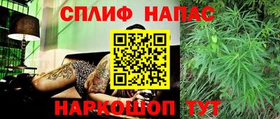 молекула духа Будённовск