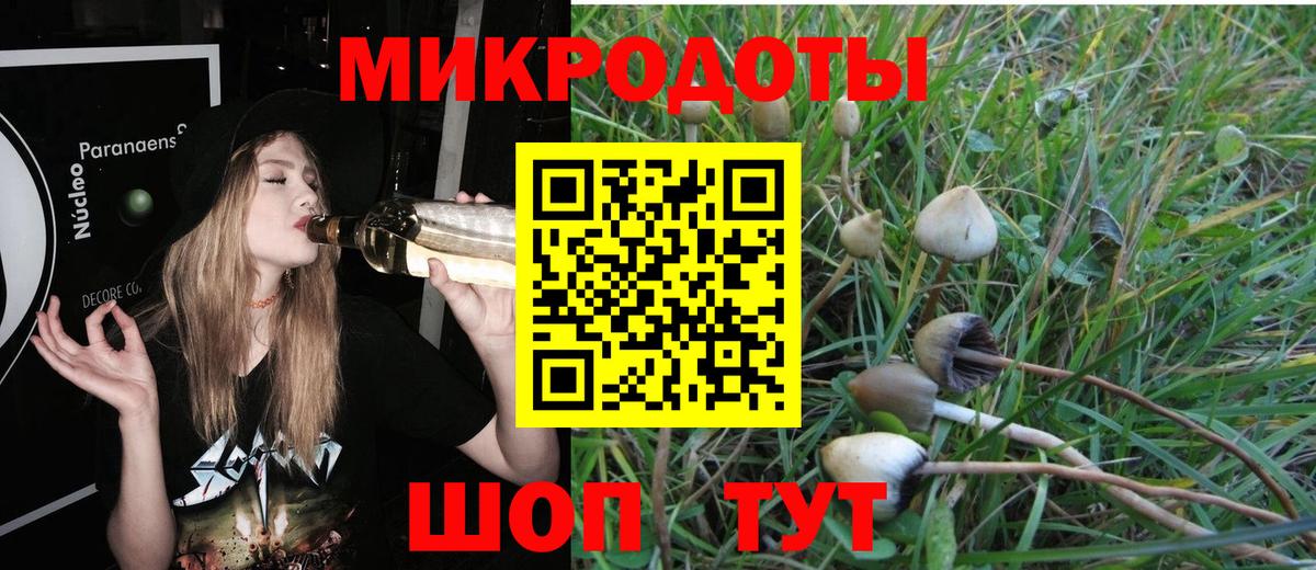 Псилоцибиновые грибы Cubensis  Вход с VPN  Галлюциногенные грибы Psilocybe  Старый Оскол 